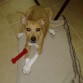 Mi princesita de calcetines blancos 